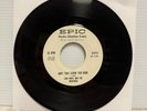 Link Wray And The Wraymen Ain't That Lovin' You Babe / Mary Ann Promo 7