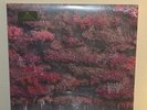 SLEEP TOKEN - EVEN IN ARCADIA - Glass of Port (Red Marble) Vinyl /3000