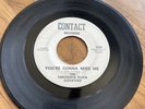 Thirteenth Floor Elevators You’re Gonna Miss Me 1st 1966 45 RPM Contact Psych