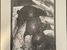Amorfati- Body w/o Organs- Rare Experimental Vinyl LP (Flesh Records) - New
