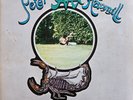 Peter Hammill - Chameleon In The Shadow Of The Night - UK 1st Pressing 1973 VG+