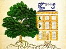TREES- The Garden Of Jane Delawney UK LP CBS 63837 VG+/VG 1970 Acid Folk