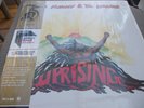 BOB MARLEY & THE WAILERS - UPRISING LP - HALF SPEED MASTERING