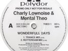 Charly Lownoise & Mental Theo - Wonderfull Days, 12