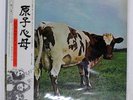 PINK FLOYD ATOM HEART MOTHER EMI EMS80320 Japan VINYL LP