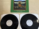 Hawkwind It is the Business of the Future to be Dangerous 2LP Vinyl VG+/VG+