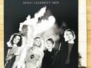 Hole / Celebrity Skin 1998 EU Original LP Vinyl Geffen Records GEF 25164