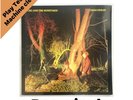 Echo and The Bunnymen Crocodiles Vinyl LP Korova Records 1980 EX/VG+
