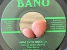 RARE Funky Modern Soul 45 THE CAPRELLS Whatever Goes Up Must Come Down BANO NM*