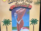 The Beach Boys California Feeling Rare Lp BROTHER Records EX SUN3329