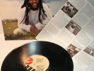 ZIGGY MARLEY AND THE MELODY MAKERS Free Like We Want 2 B Vinyl LP + INSERT – EX