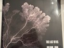 Pearl Jam The LAST OF US 12” EP Ten Club Exclusive Vinyl 2025 - New - In Hand