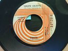 Grupo Celeste: Viento/Te Perdi 45 RPM - Peru record VG+ Cumbia