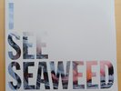 THE DRONES I SEE SEAWEED Australia 2xLP VINYL NEAR MINT TOP CONDITION RARE