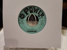 Tasmanians 45 Power 4933 EX Garage Psych If I Don’t / Feeling RARE 1967