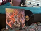Malevolent Creation   The Ten Commandments   LP    Vinyl   Death Metal