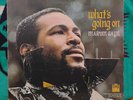 Marvin Gaye - What's Going On Vinyl, First Pressing Tamla – TS310