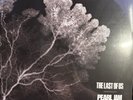 Pearl Jam 'Last of Us' RARE Black Metallic Splatter Vinyl SHIPS ASAP