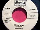 THE NUTMEGS - Comin' Home / A Love So True - super clean Promo 45 rpm Herald 492