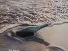 2Lp High Quality Sound Private The Police / Message In A Bottle 1981 Calico Ast6