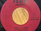 RARE Psych Garage Unknown Downer 45 SECRET SOCIETY PAUL HIBBETS Take A Look PRMM