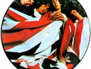 The Who   7 inch  Picture Disc The kids are alright USA Promo 1979  MCA  MC 8559