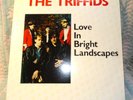 The Triffids 