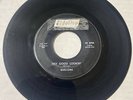 Ban-Lons 1962 DOO WOP 45 Hey Good Lookin’ / I Like It FIDELITY VG+ HEAR