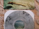 Switchfoot: The Beautiful Letdown Lp GREY SMOKE VINYL