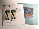 Two Dif Juz Lp's – Extractions & Out Of The Trees,  UK 4AD 1st Press Records