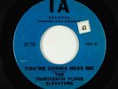 Garage Psych 45 - Thirteenth Floor Elevators - You're Gonna Miss Me - IA