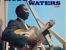 Muddy Waters At Newport 1960 Records & LPs New