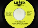 Rockabilly C&W 45 - James Rebel O'Leary - South Bound 81 - Lu-Tex - obscure