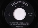 R&B Soul Popcorn 45 - Tod Tyler - Emancipation Proclamation - Ditto