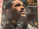 Marvin Gaye What's Going On Vinyl 1971, Promo, Stereo, Gatefold, Tamla Record US