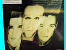 THE WILD SWANS‎   BRINGING HOME THE ASHES LP 1988 PROMO SIRE 1-25697   NEAR MINT