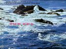 Munch, Boston Symphony Orchestra - Debussy: La Mer (The Sea) / Ibert: Port Of Ca