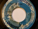 Big Star - Don't Lie To Me 1972 Ardent Records 45 rpm ADA-2904