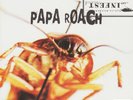Papa Roach - Infest Vinyl LP DA0554711