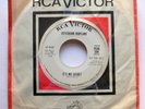 JEFFERSON AIRPLANE 45 It's No Secret RCA Promo Near-MINT Dh 112