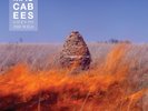 The Maccabees Given to the Wild (Vinyl) 12