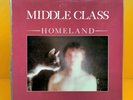 Middle Class Homeland OG 1982 Pulse Records Punk LP post-punk punk rare kbd