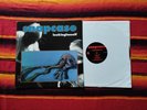 SNAPCASE LP lookinglasself Vinyl Victory Records hardcore punk hxc straight edge