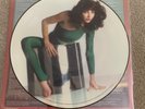 KATE BUSH THE KICK INSIDE 1979 1ST PRESS LP RECORD ALBUM PICTURE DISC NEAR MINT