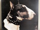Pixies – Here Comes Your Man, Rare First Press 12