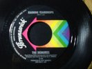 THE DEMURES RAINING TEARDROPS 45 RECORD HE'S GOT YOUR NUMBER