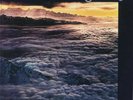 SANTANA - Moonflower Mobile Fidelity - 180 GRAM AUDIOPHILE VINYL LP Sealed