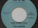 Soul Bay Area Political Black Panther Party THE LUMPEN Free Bobby Now 45 HEAR