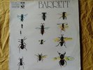 33 rpm SYD BARRETT ,2nd album ,1st press France 1970