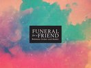 LP Funeral For A Friend Between Order And Model TRANSLUCENT VINYL NEW OVP